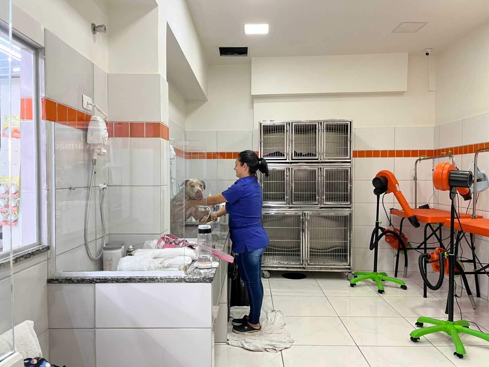 Foto da Galeria