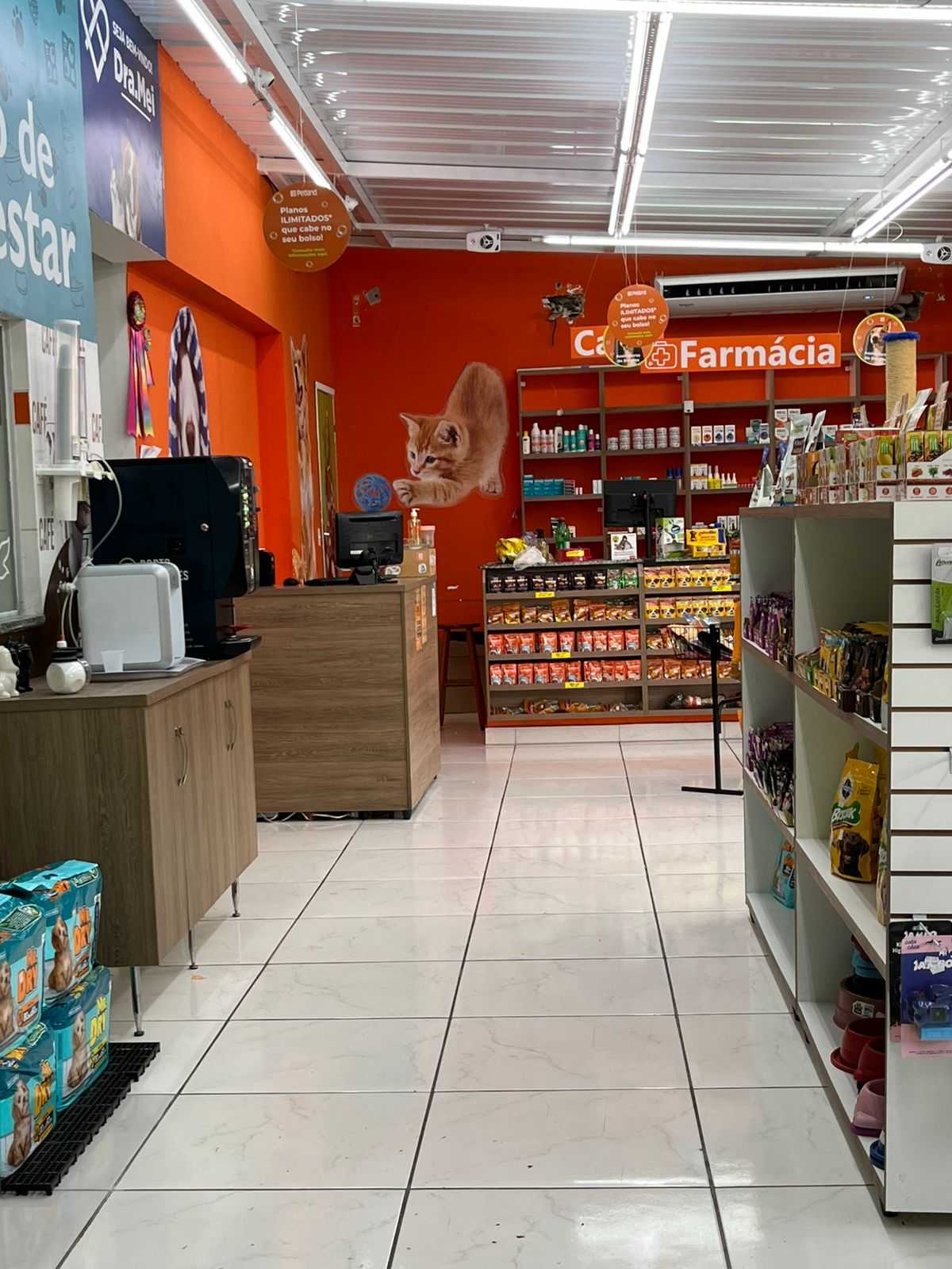 Foto da Galeria