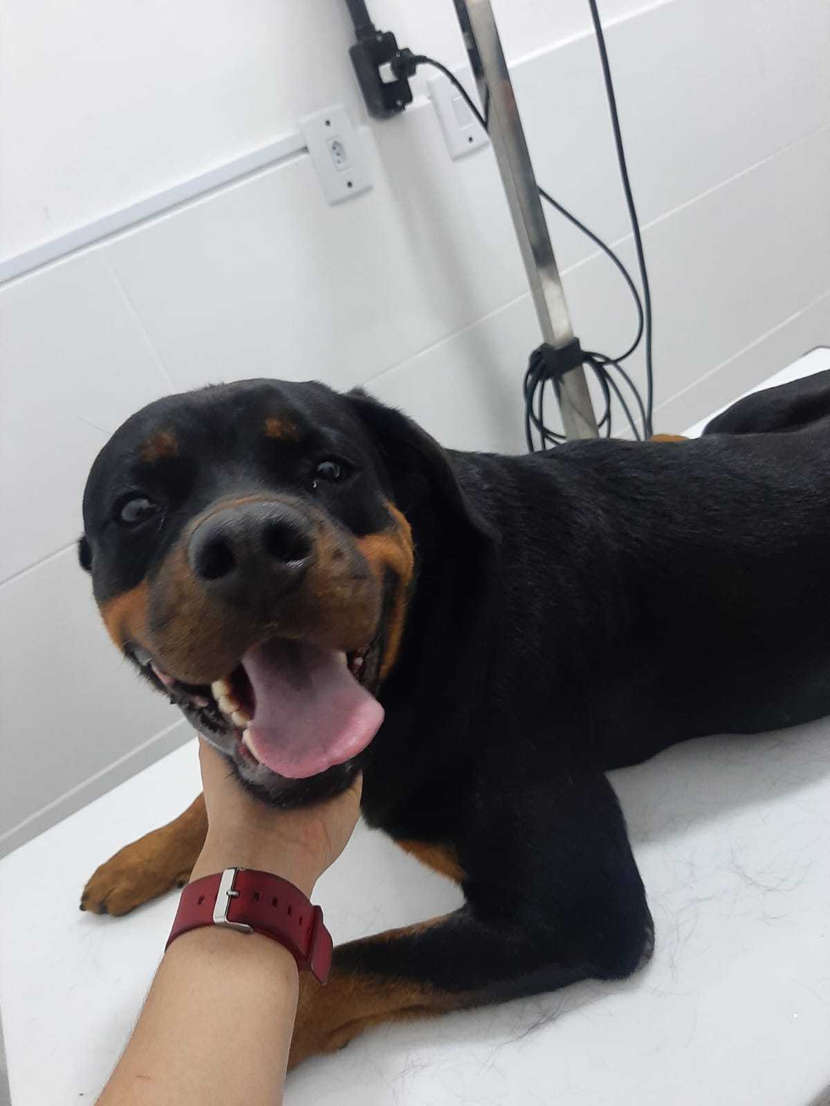 Foto da Galeria
