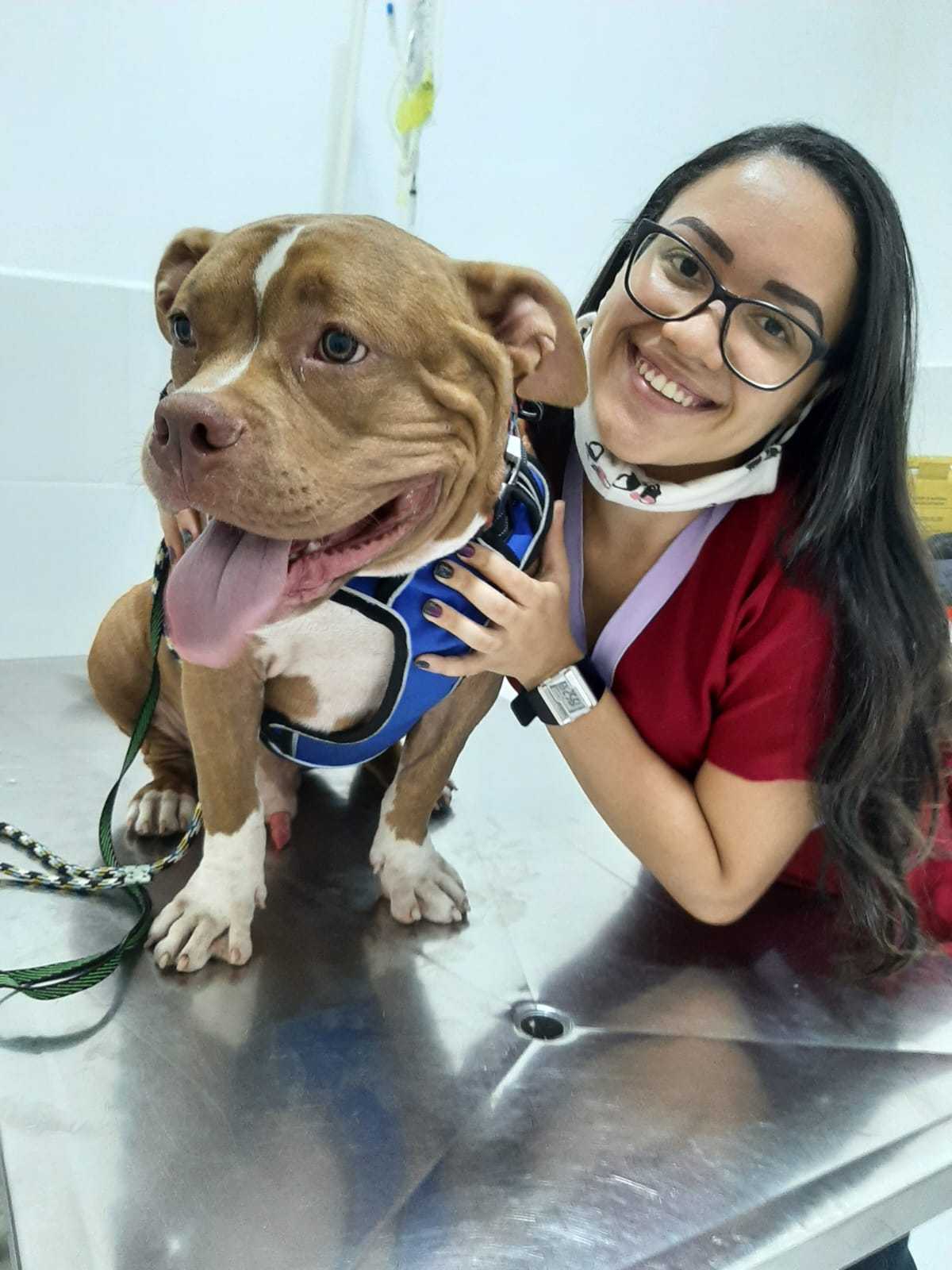 Foto da Galeria