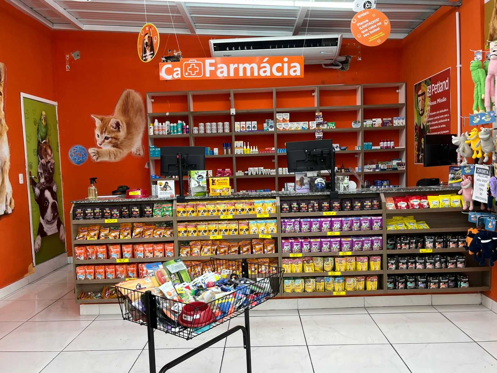 Foto da Galeria