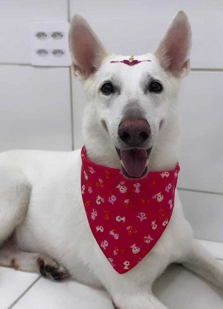 Foto da Galeria